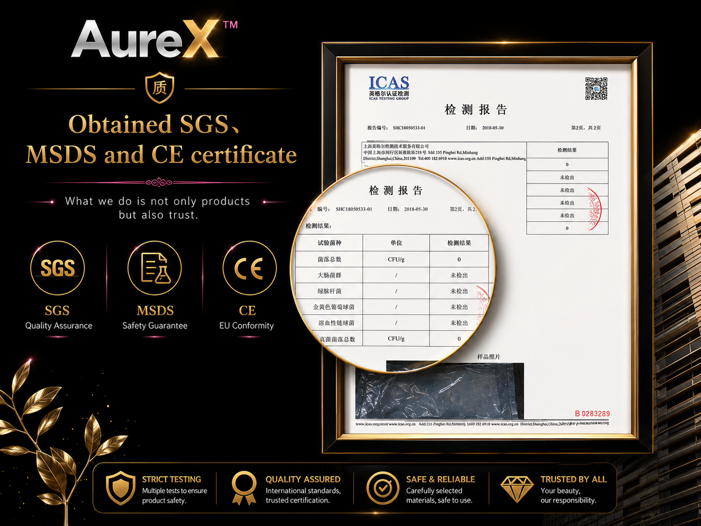 AureX™ Bloom 3D–6D Premade Lash Fans