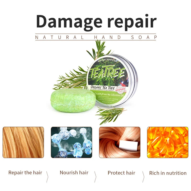 AureX™ TeaTree Hair Shampoo